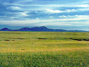 grasslands