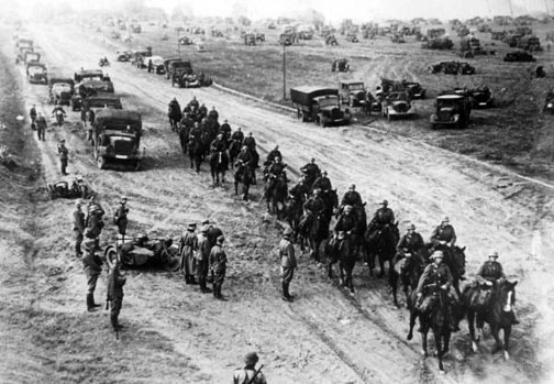 Army Horses